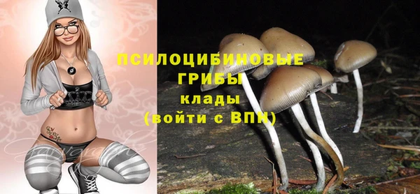 амф Белоозёрский